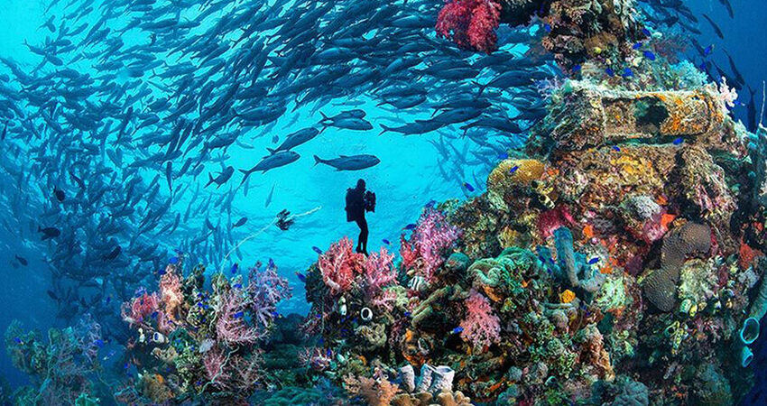 Yılbaşı Özel İzmir Hareketli Sunexpress İle Sharm El Sheıkh Turu 4 Gece